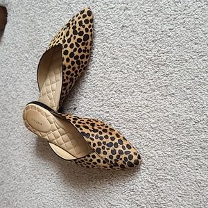 Birdies "The Swan" Flats